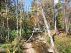 part of the walking trail in the Ramble Biltmore 