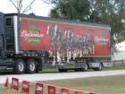 The Clydesdale Limo. 