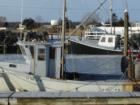 No Lobstering Today