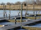 Ice on the docks