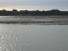Seals (a LOT of 'em) taking an afternoon nap at the Bolinas Lagoon and Marsh.