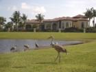 Enjoy Steeplechase - Palm Beach Gardens Premier Estate Community