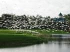 The Natural Beauty of Ironhorse