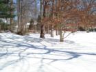 My frozen Backyard. Kids have been sledding but there are no footprints.
      HomeRome.com