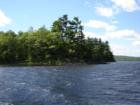 Lothrop Island - Eagle Nesting Trees
