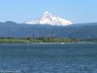Mt. Hood in the background of Washougal