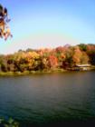 Fall colors