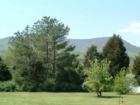 Local Valley Views