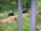 Some local Friends