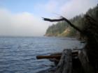Kayak Point in the early morning fog.