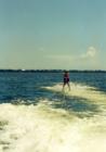 Ski with the Dolphins