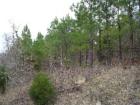 The timber industry employs many people in LeFlore County.