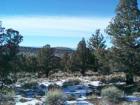 Beautiful 5 acre parcel with CUP for single family dwelling. Just $65,000. Don't wait, call Kelli today.