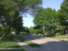 Old Growths tress at Riverbend