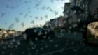 Holtsville, NY: Morning Snowflakes at Victorian Gardens Apartment Complex