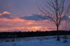 Sunset on the Shore