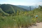 On Steamboat mountain