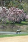 Holmdel is home to Holmdel Park which is a county park just shy of one million visitors a year enjoy this 564 acre site with over 10 miles of forested trails,