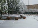 City Hall with snow