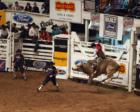 Bull Riding in Ft. Worth