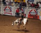 Some More Bull Rding
