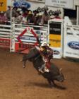 Bull Riding in Cow Town