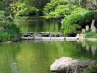 Fort Worth Japanese Gardens. Check This Place out