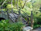 Fort Worth Japanese Gardens 
