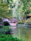 Fort Worth Japanese Gardens 