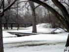 Ft. Worth in the snow