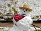 Ever seen a Texas snowman???