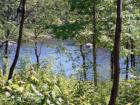 Cochran Lake In New Limerick!