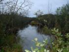 The outlet to Glancy Lake...Glancy Brook!