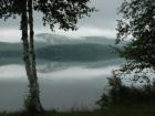 Loons at night, fish during the day, relax at Drews Lake!