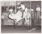Unknow Bullrider at Kowbell around 1958-59