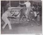 Another  bullrider at Kowbell around 1958-59