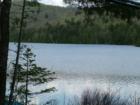 Motor boat horsepower limit on Timoney keeps it like Golden Pond!