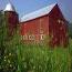 Farm in Marlboro