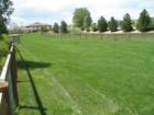 Community dog park.