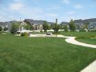 Another park.