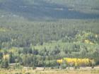 The Valley