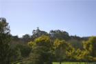 Olema, Ca vistas looking west