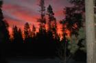 Sunrise off the front porch - 