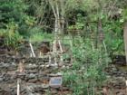 Hawaiian demonstration site