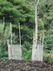 Waimea Valley