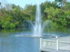 Compton Park in Tampa Palms