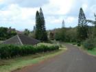 Pupukea country road