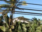 Ar117209630704348_l
