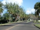 Kahuku - The road to Turtle Bay