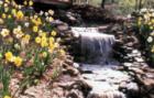 Clemson Botanical Gardens